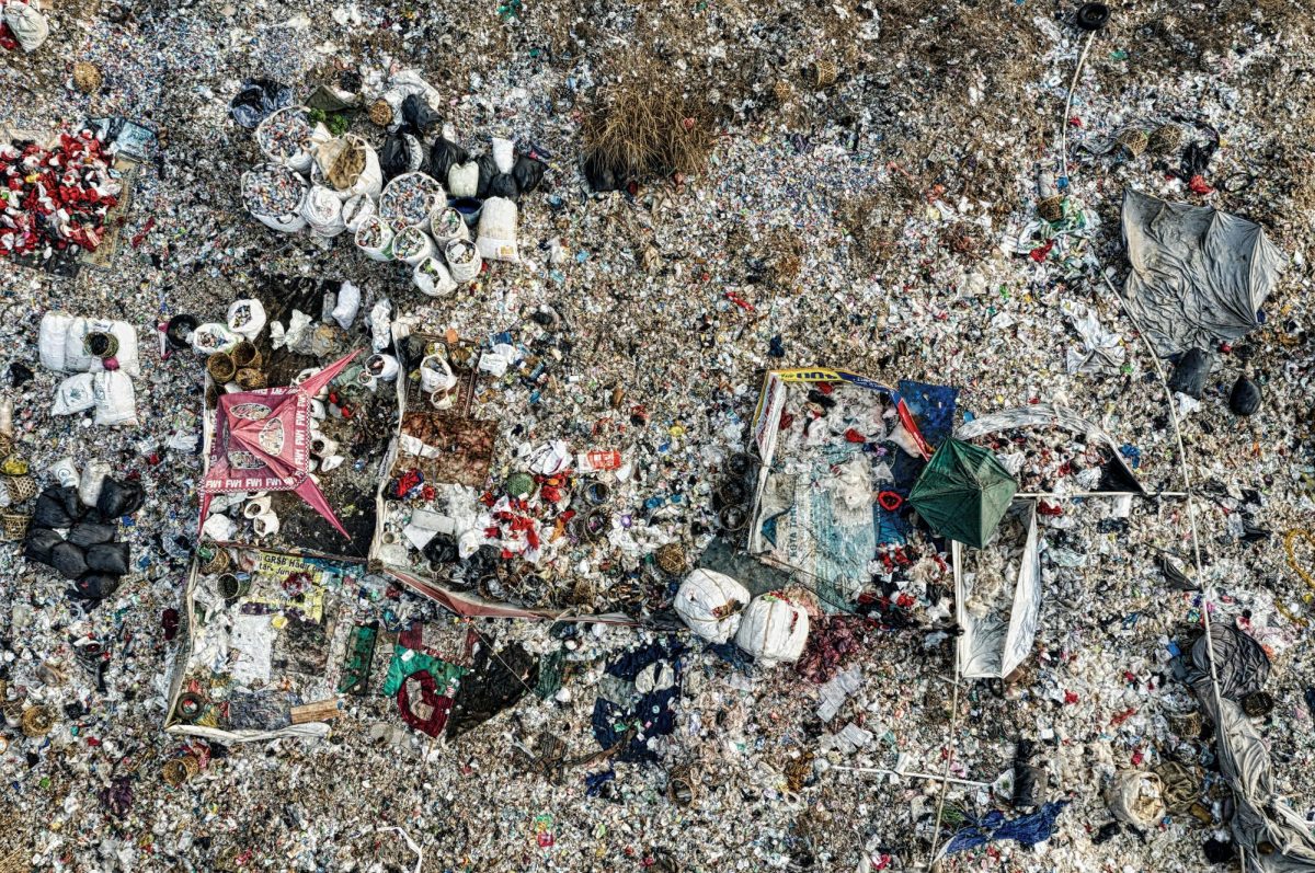 Worn Once, Wasted Forever: The Hidden Cost of Fast Fashion
